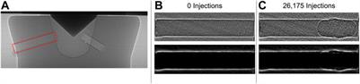 Experimental Investigation of Cavitation-Induced Erosion Using X-Ray Imaging and Tomography